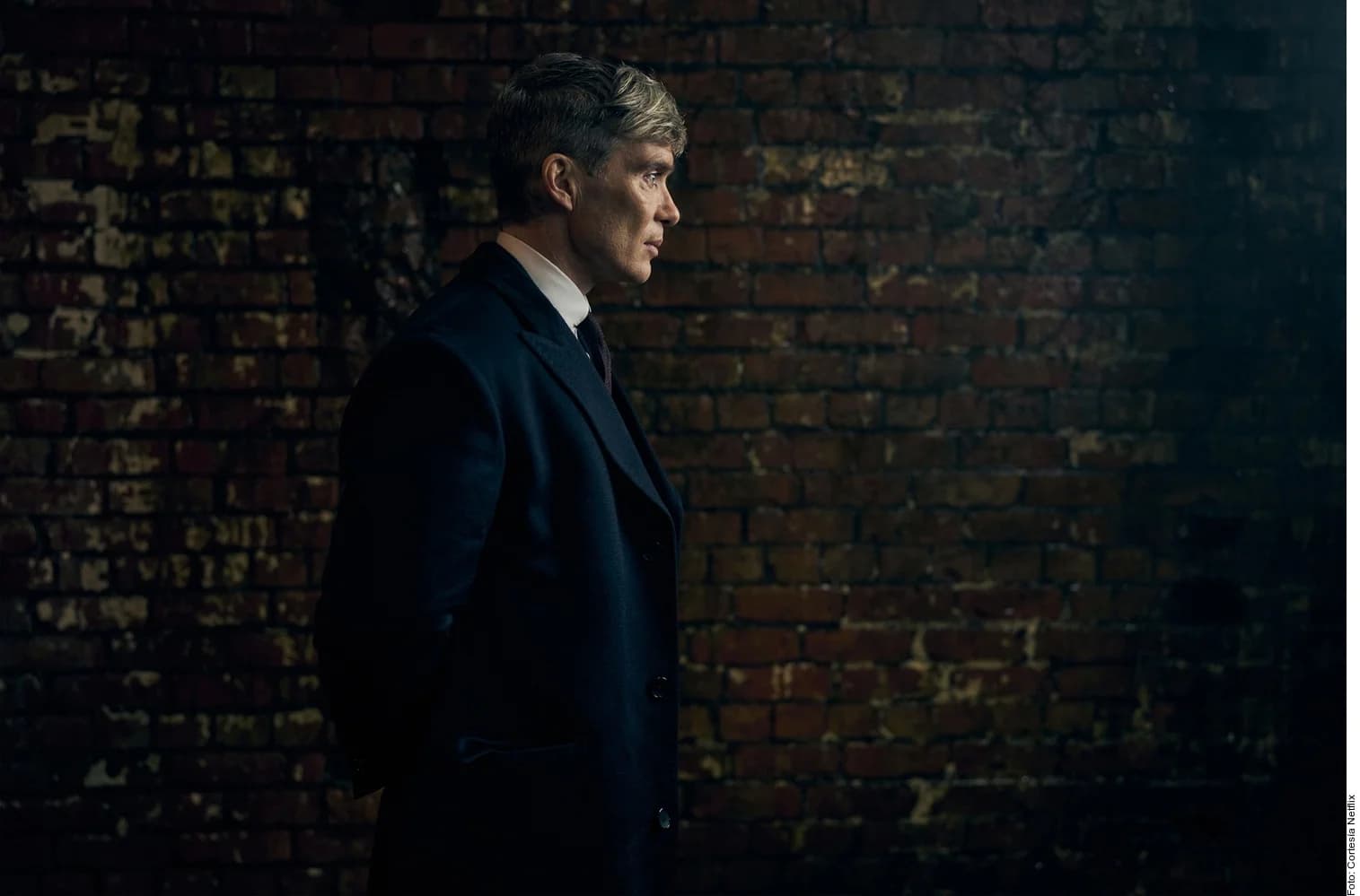 Retoma Cillian su papel en 'Peaky Blinders'