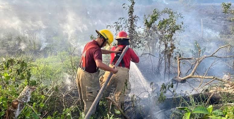 ¡Tomen precauciones! Regresa ola de calor