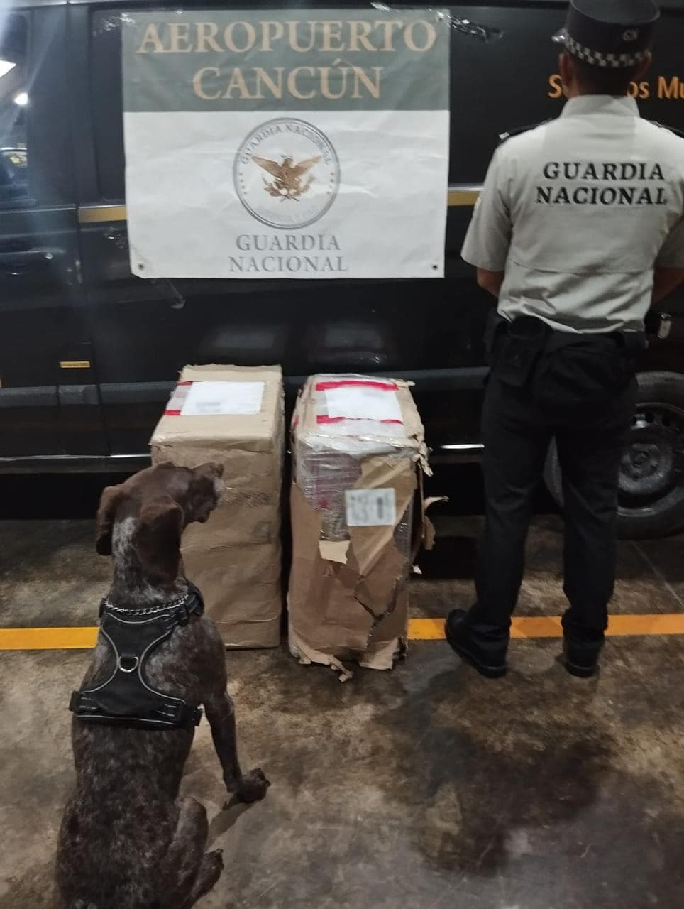 GN incauta droga en Aeropuerto Internacional de Cancún