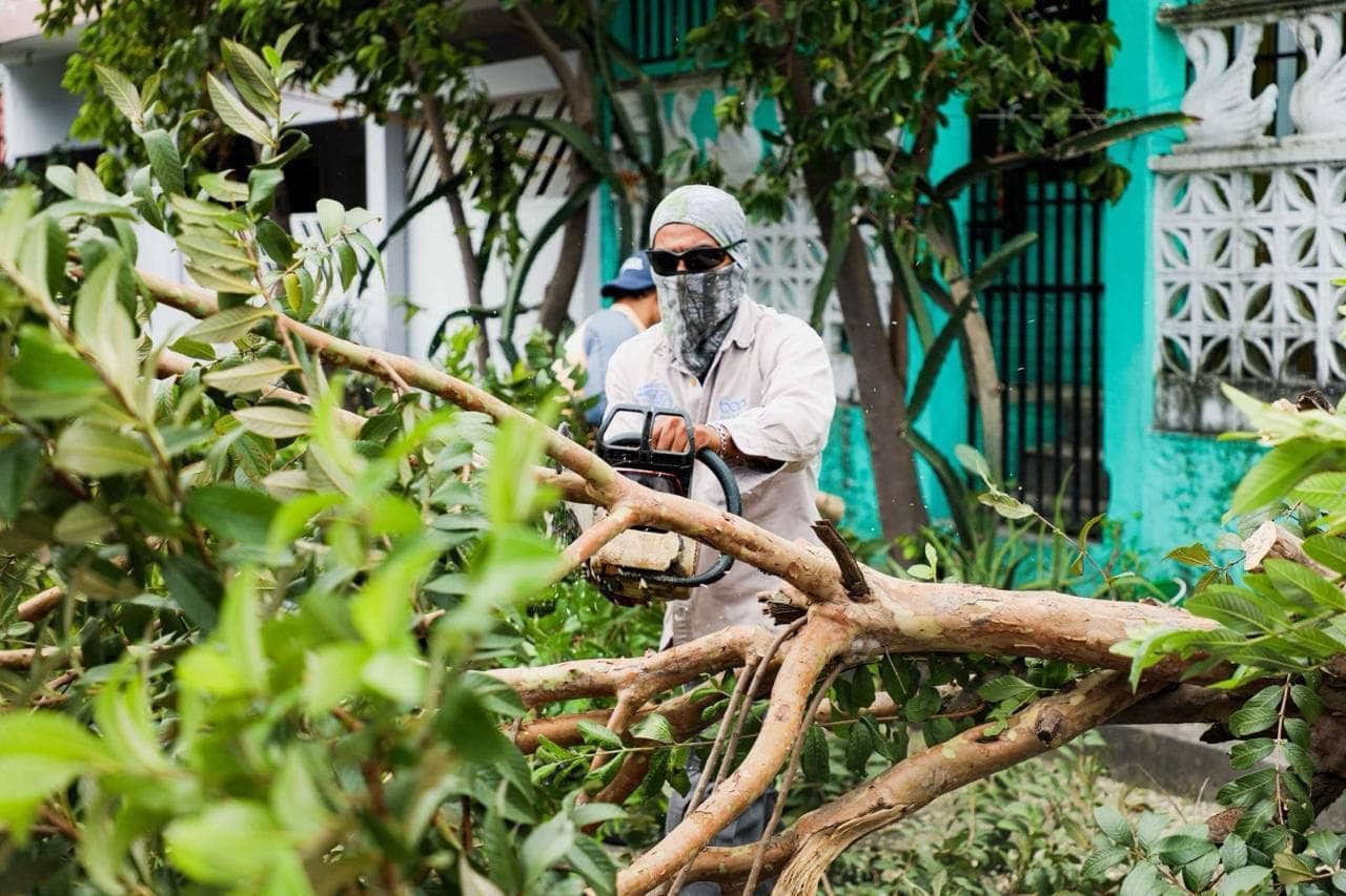 Frente frío número 14 deja estragos en Boca del Río
