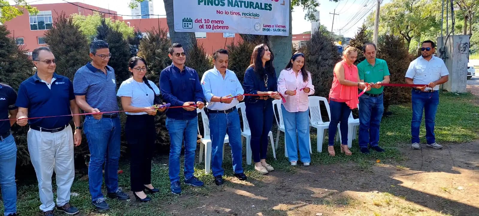 Reciclan pinos para transformarlos en composta