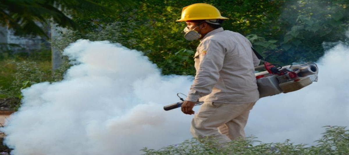Intensifican campaña de fumigación vs el dengue