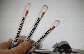 Emite Salud México alerta por Hantavirus
