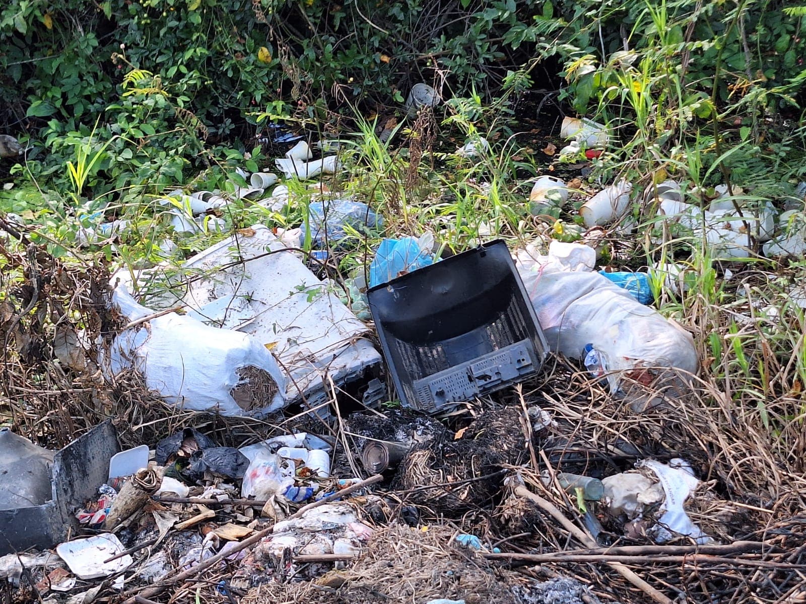 Heredó Nuris un Jalpa sumido en la basura