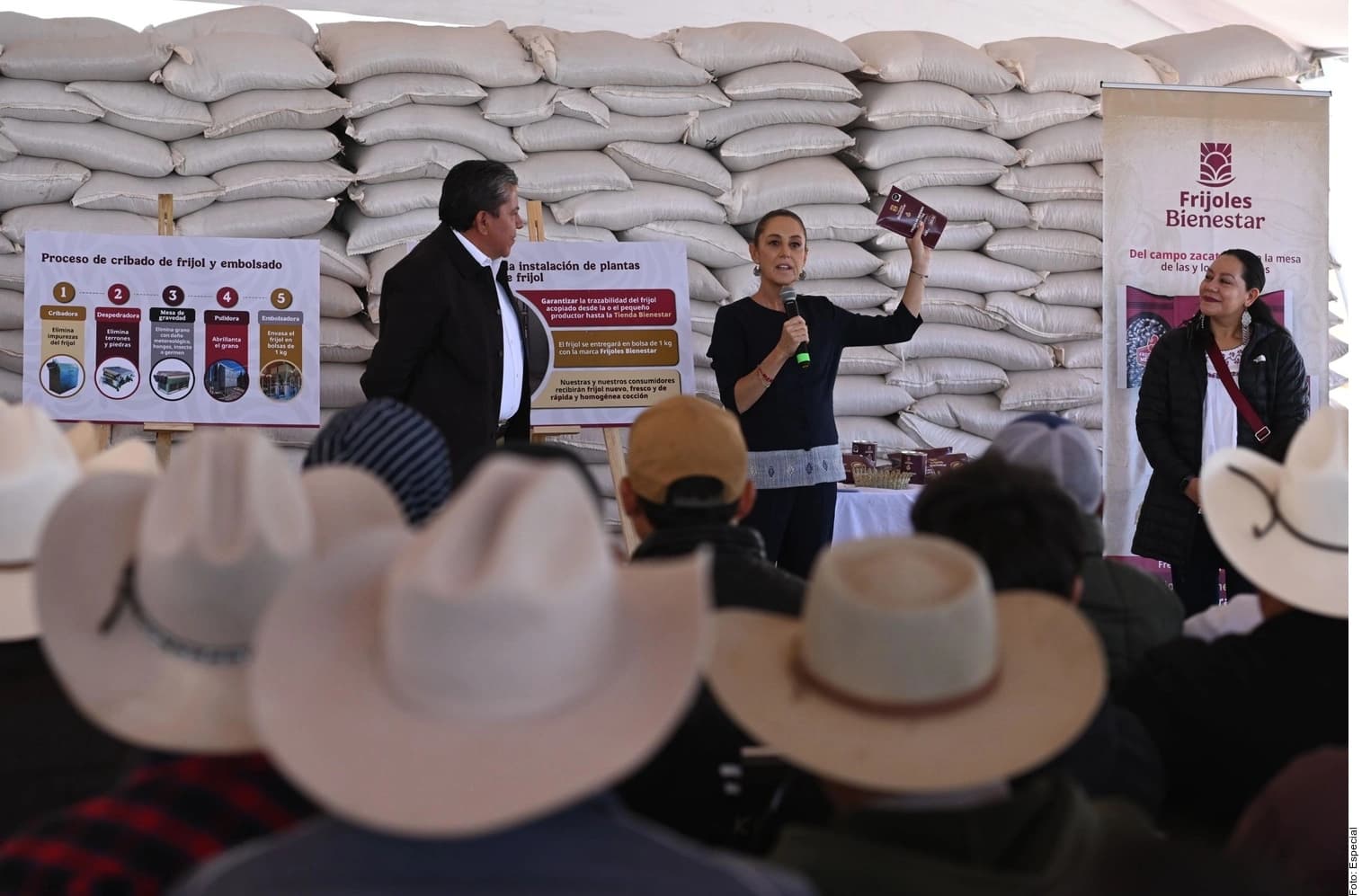 Anuncian vivienda y frijol del bienestar