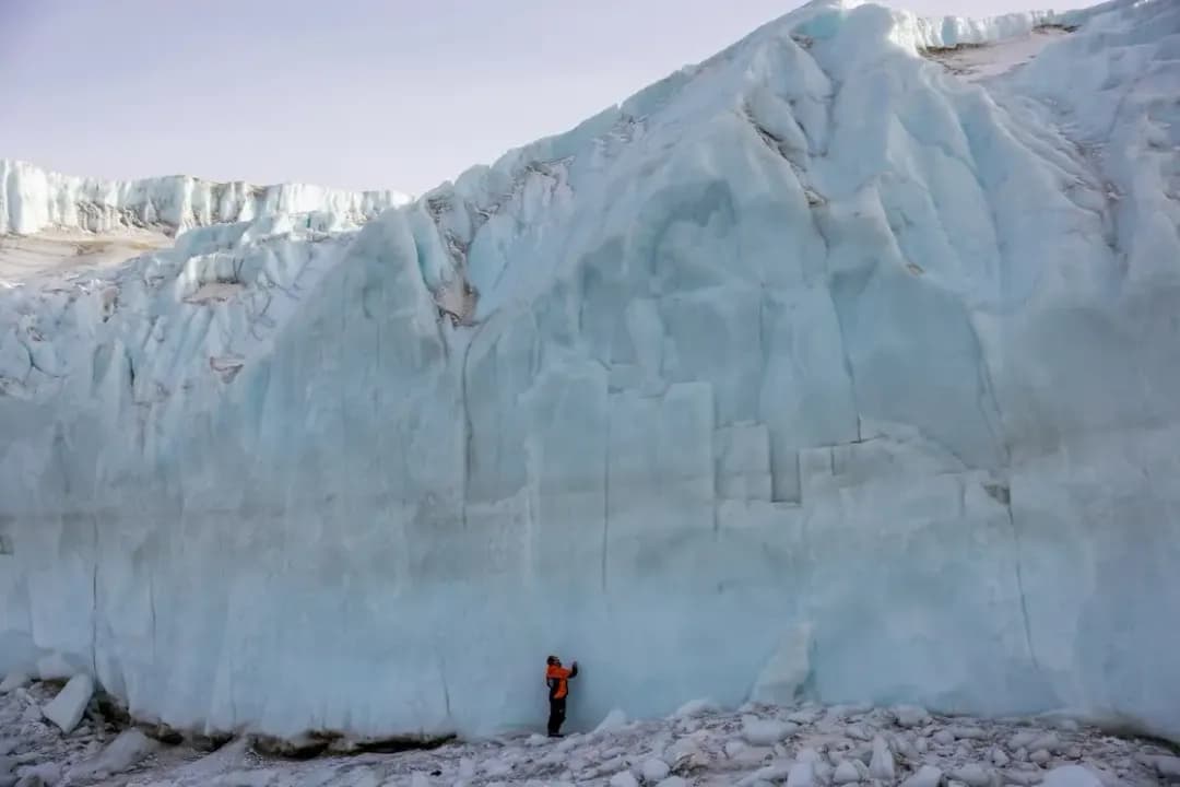 Retroceso de glaciares acelera extinción de especies, advierte estudio