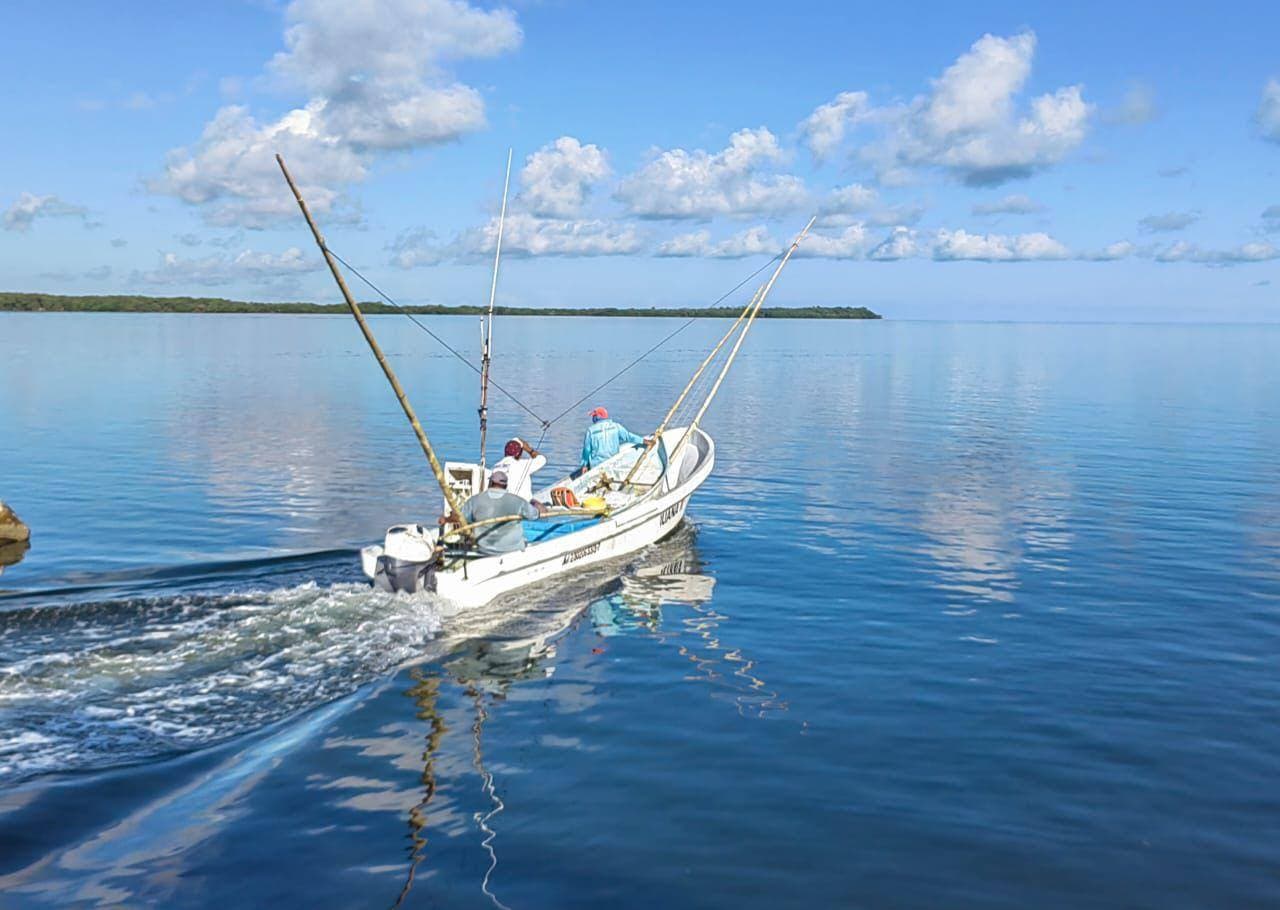 Entrará en veda Pulpo Maya de la Península de Yucatán