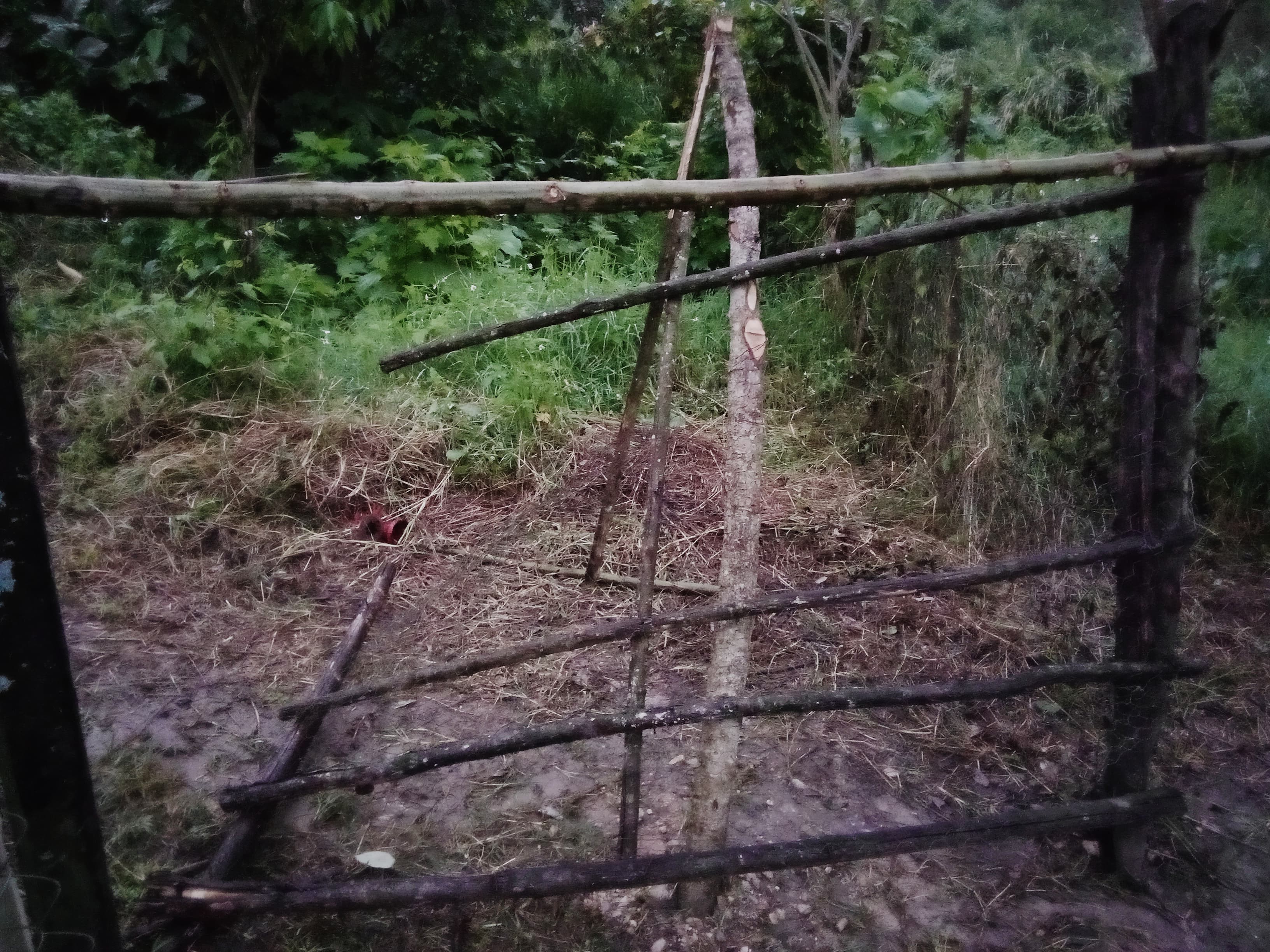 El FNLS denuncian hostigamiento en Tila Chiapas