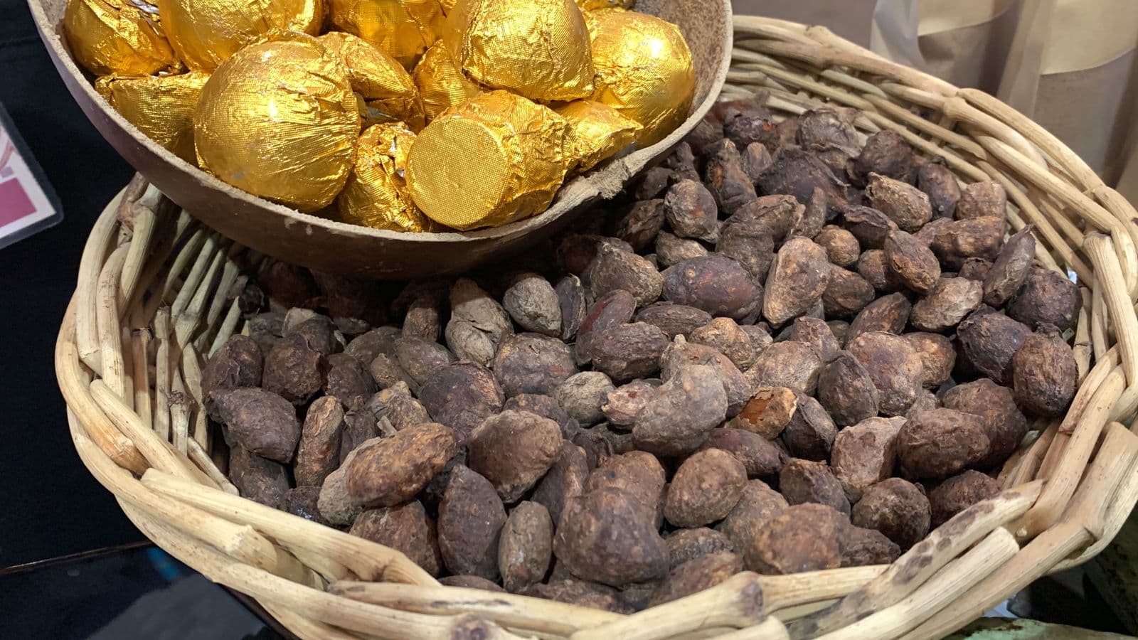 Pataste, una semilla ancestral en vías de extinción