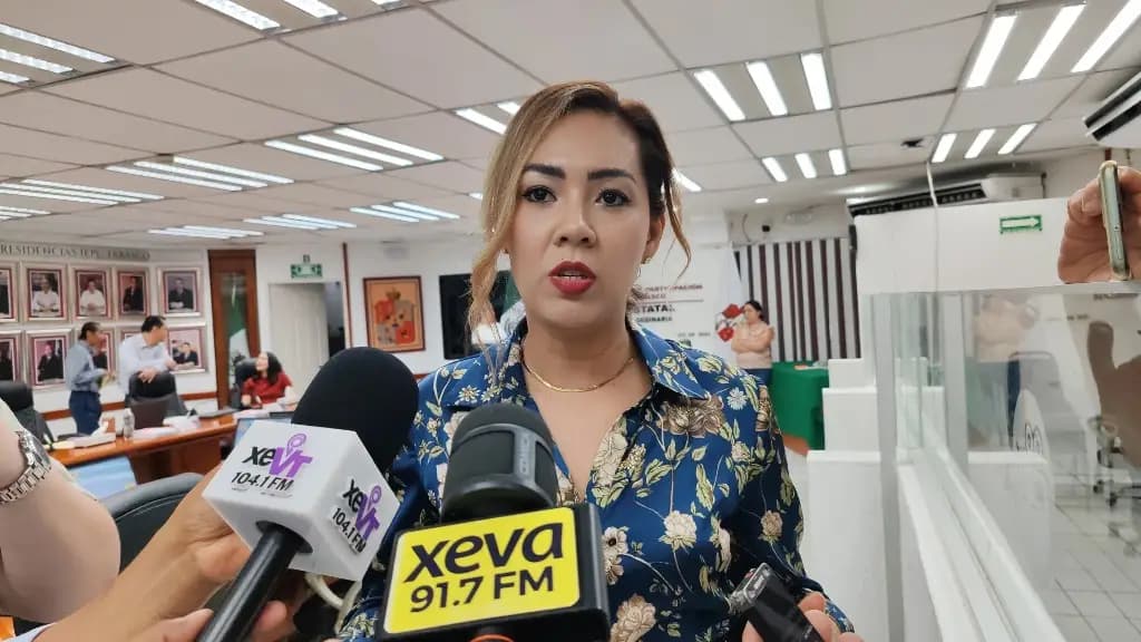 Quiere IEPC Tabasco más presupuesto, Sheinbaum desaparecerlos