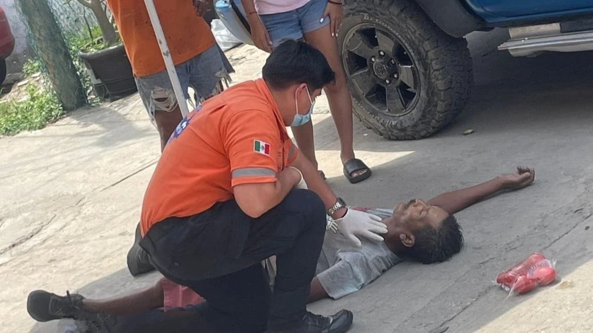 Ataque de abejas en Nacajuca deja 1 hombre muerto y otro herido