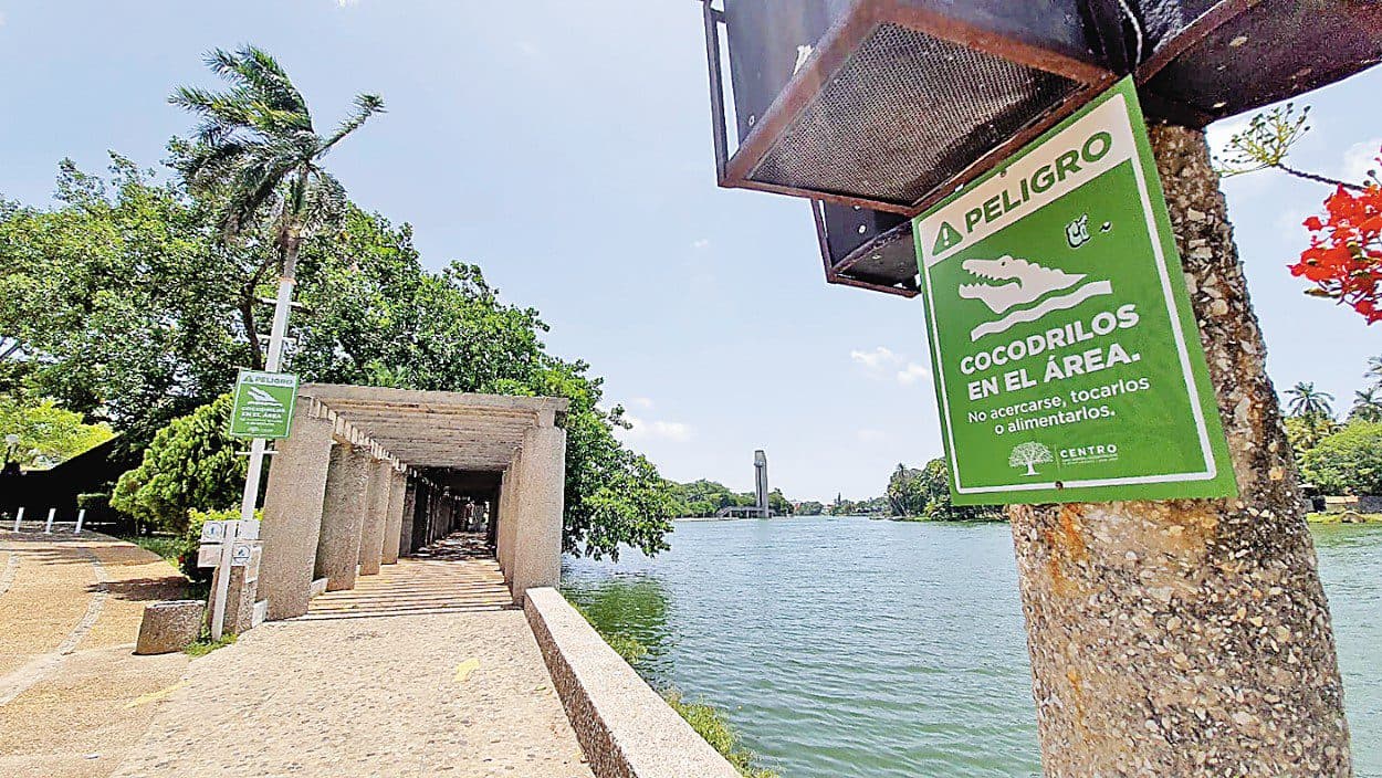 Con señalética advertirán presencia de 600 cocodrilos en Villahermosa