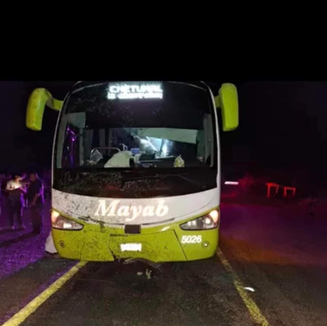 El autobús del terror