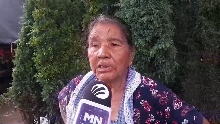 Bajas ventas de pinos navideños y flor de Nochebuena en Veracruz