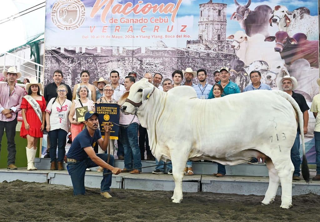 La Expo Ganadera de Veracruz cancelada por cobro de piso