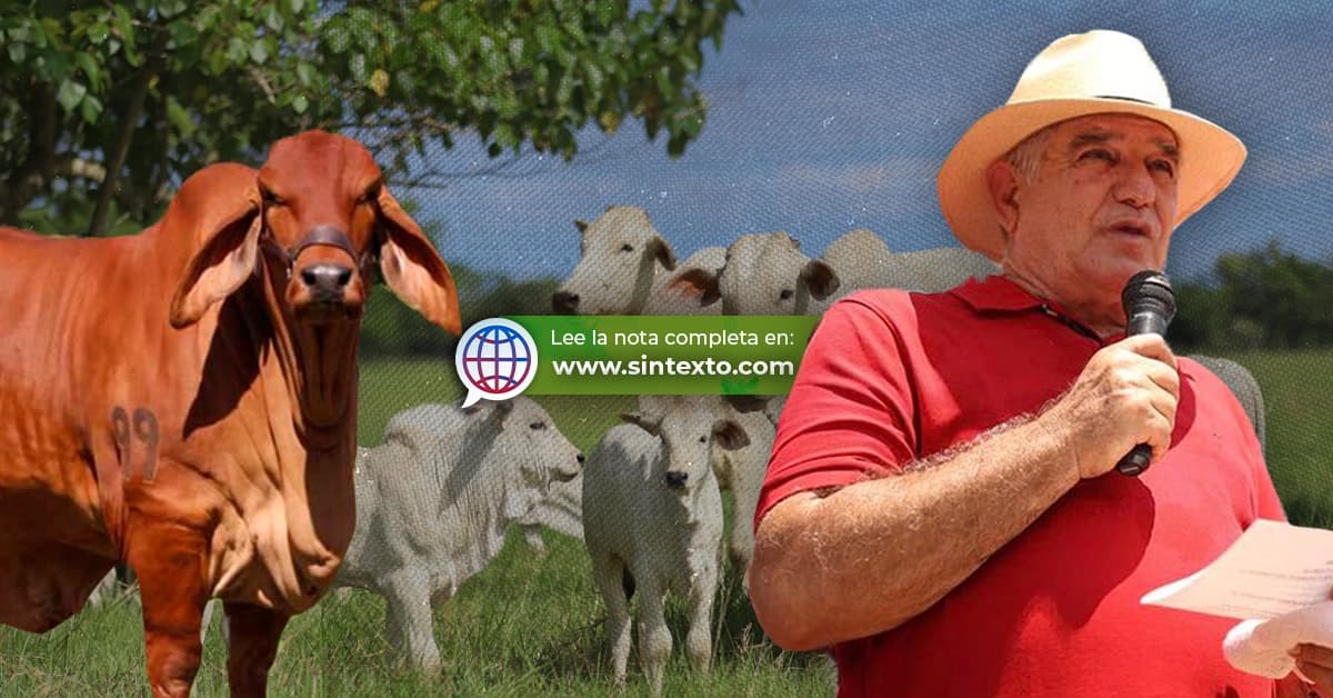 13 ranchos fruto de mi esfuerzo: Pepín