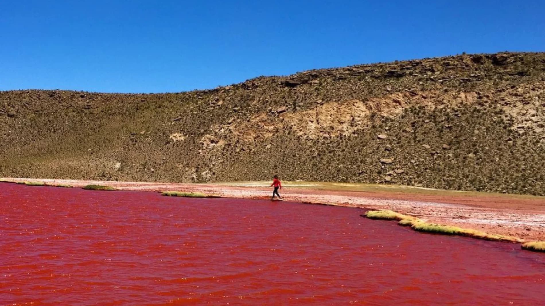 Se viraliza video de aguas del Río Nilo teñidas de Rojo