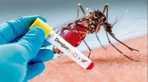 Incrementan 50 por ciento casos de dengue en Veracruz