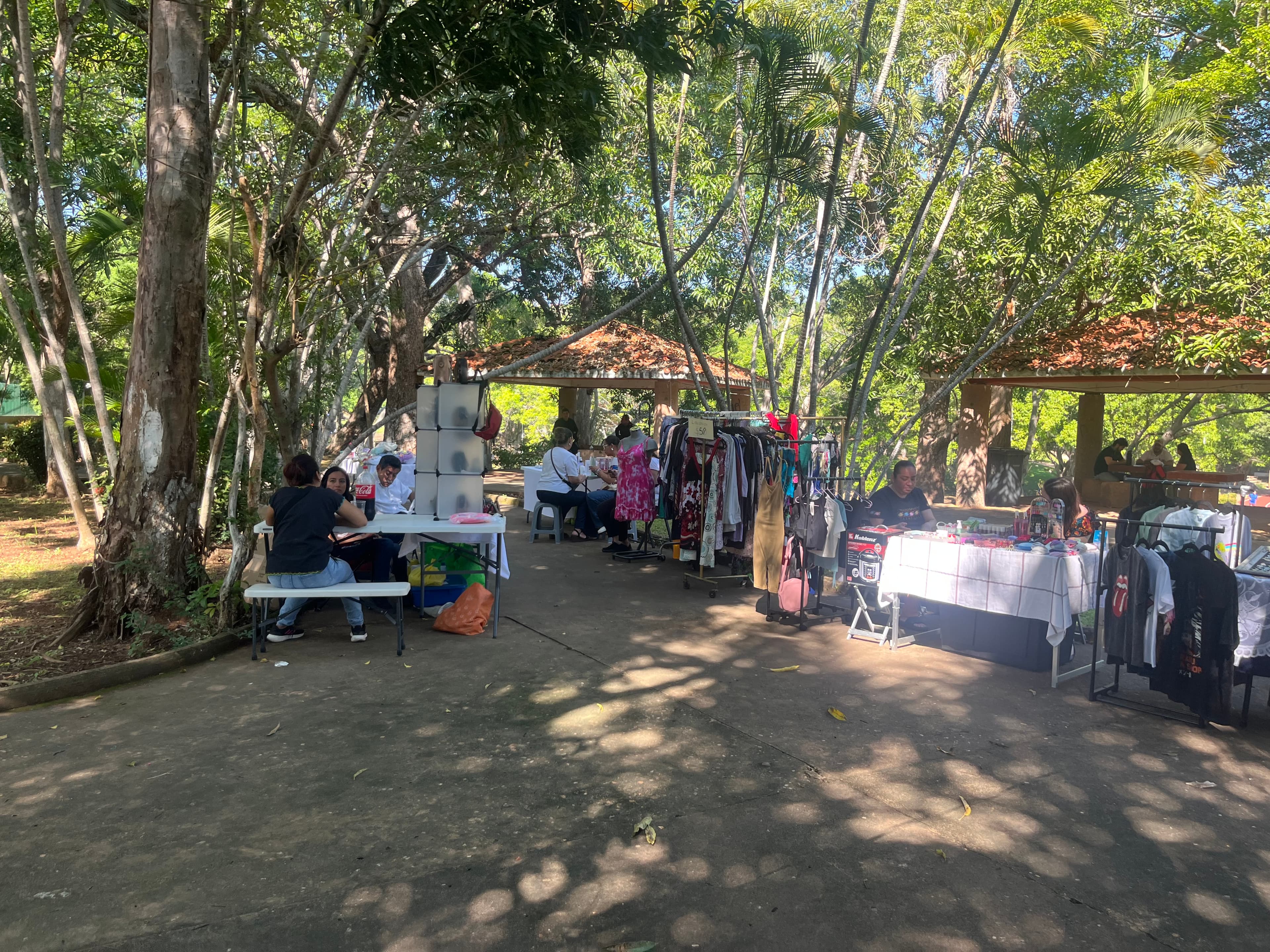 Usan “Merca Móvil” para proyectar productos locales