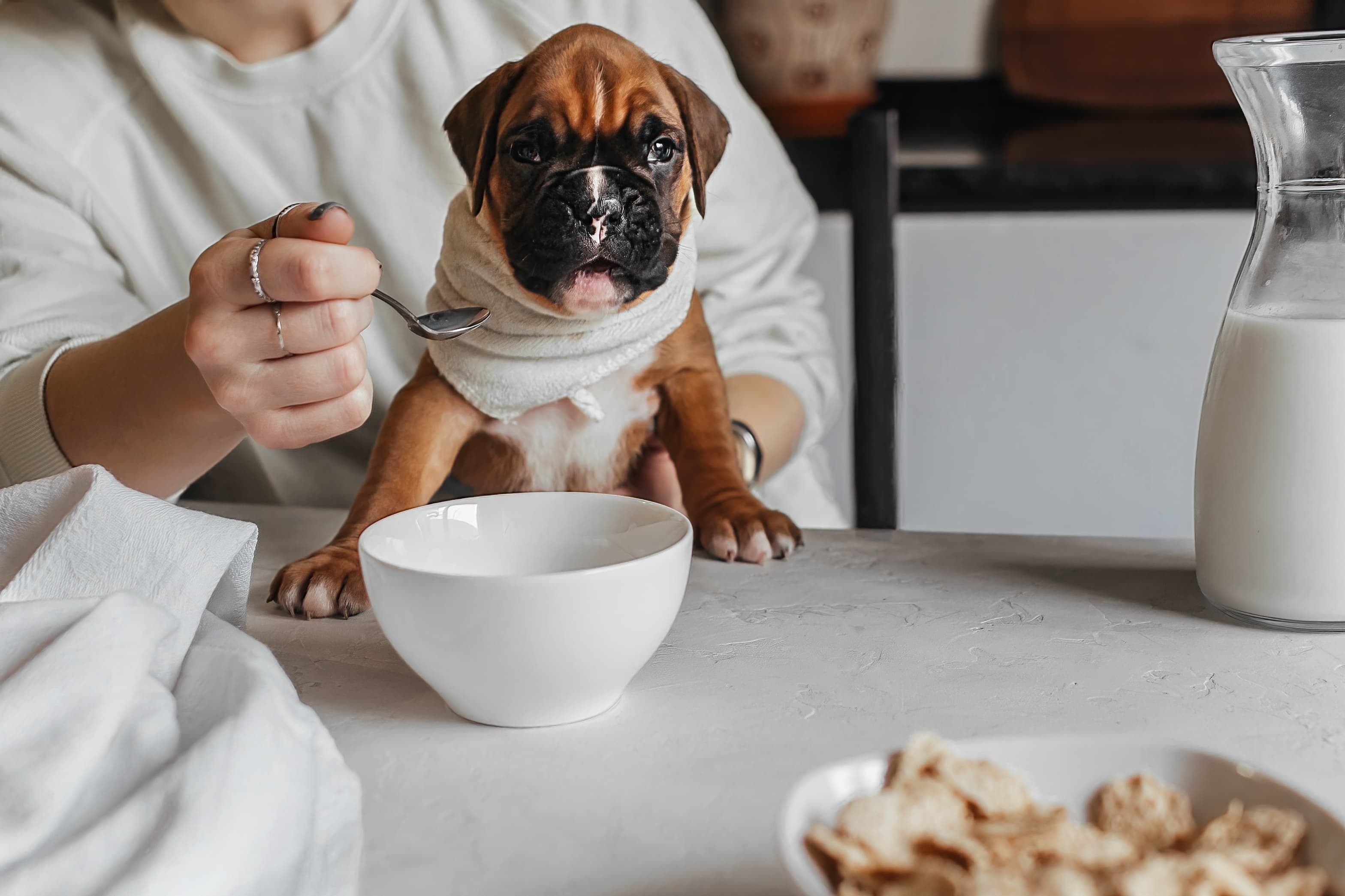 Más allá de mascotas....