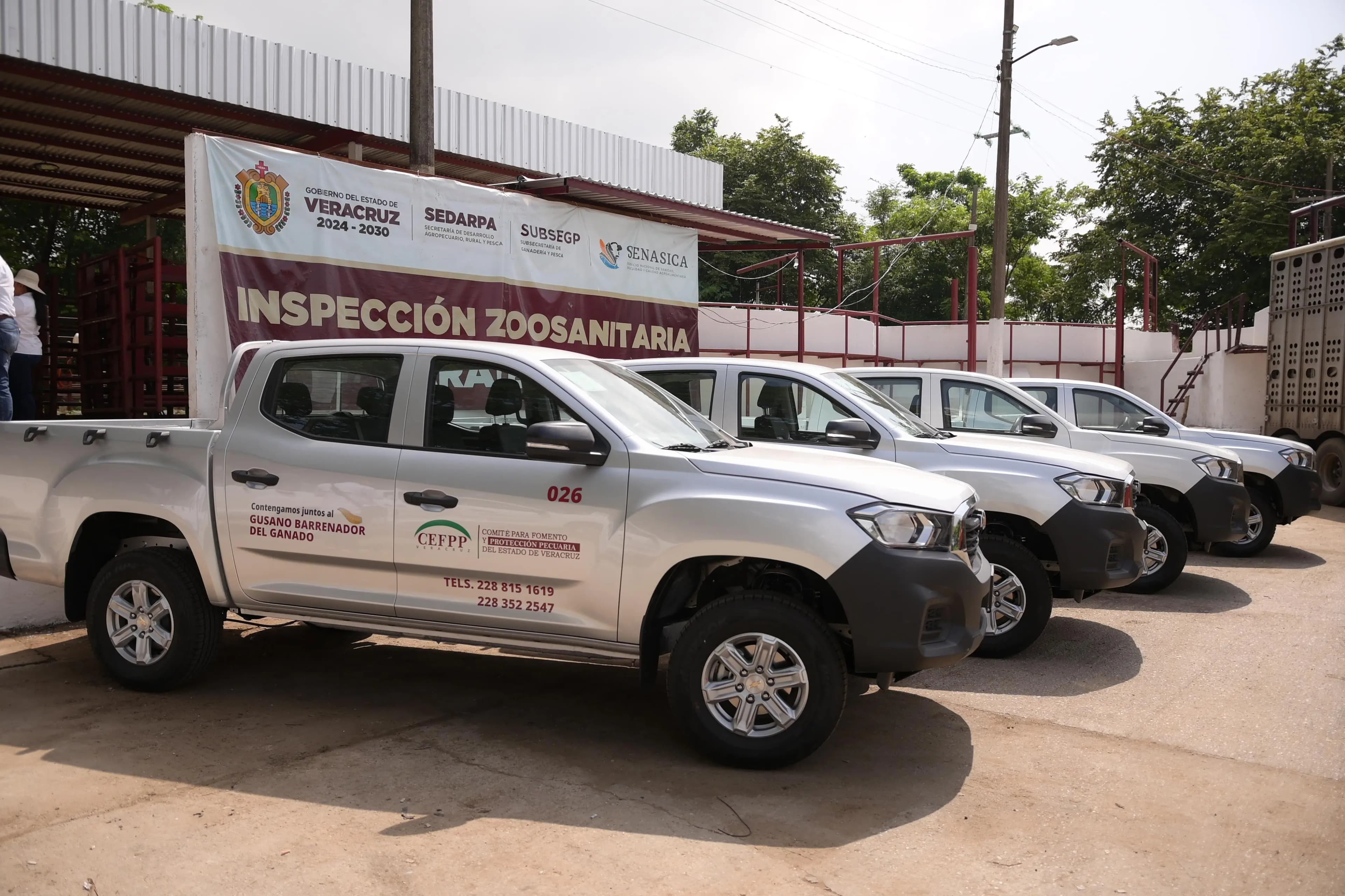 Brigadean en Veracruz al "gusano barrenador"