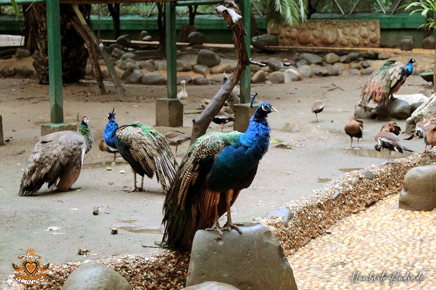 SOTOP inicia rescate de Parque Museo La Venta