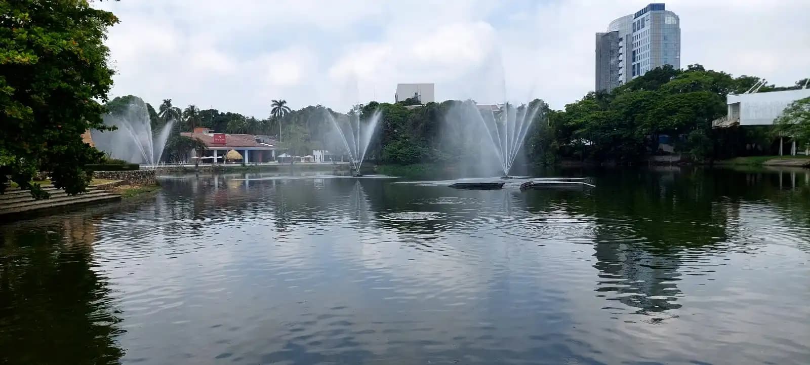 Vaso Cencali mejora pero sigue en terapia: Gary Arjona