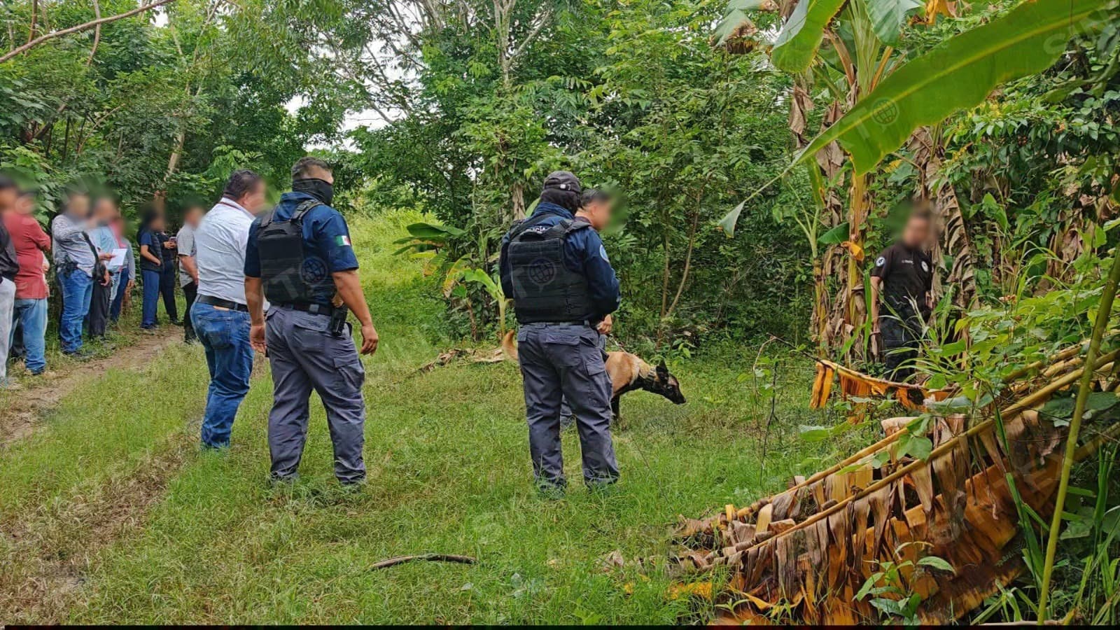 En Cárdenas encuentran 2 cuerpos en fosa clandestina