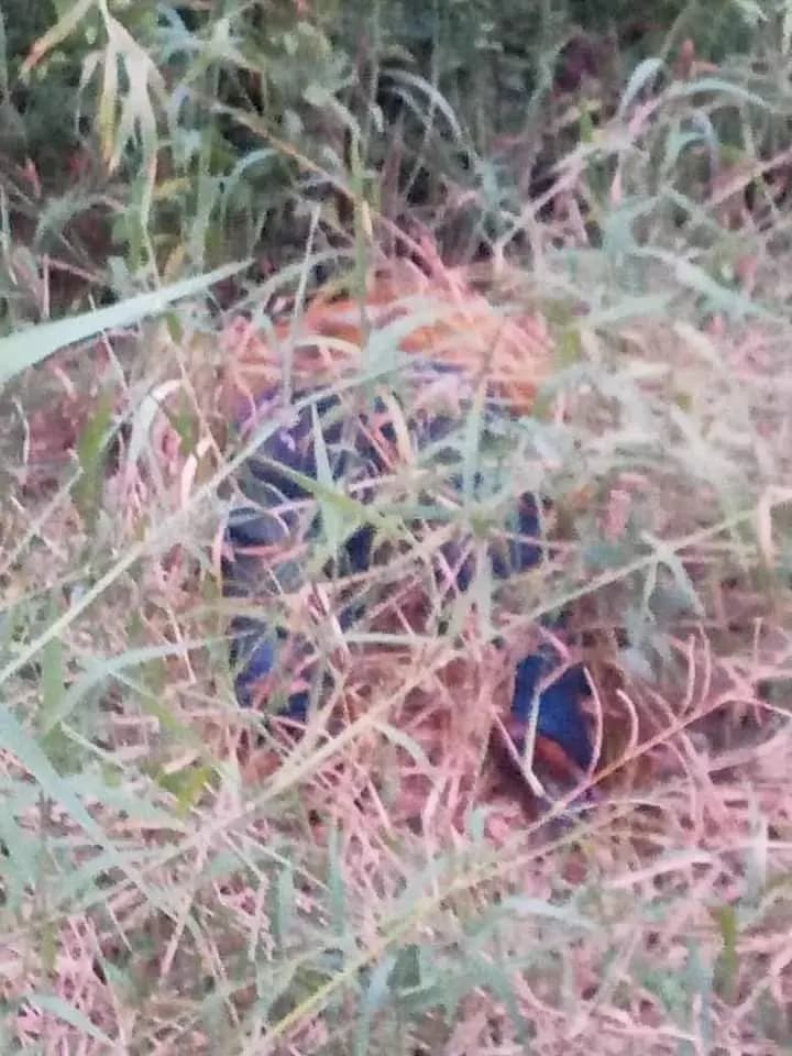 Identifican cuerpo de mujer encontrado en Paraíso