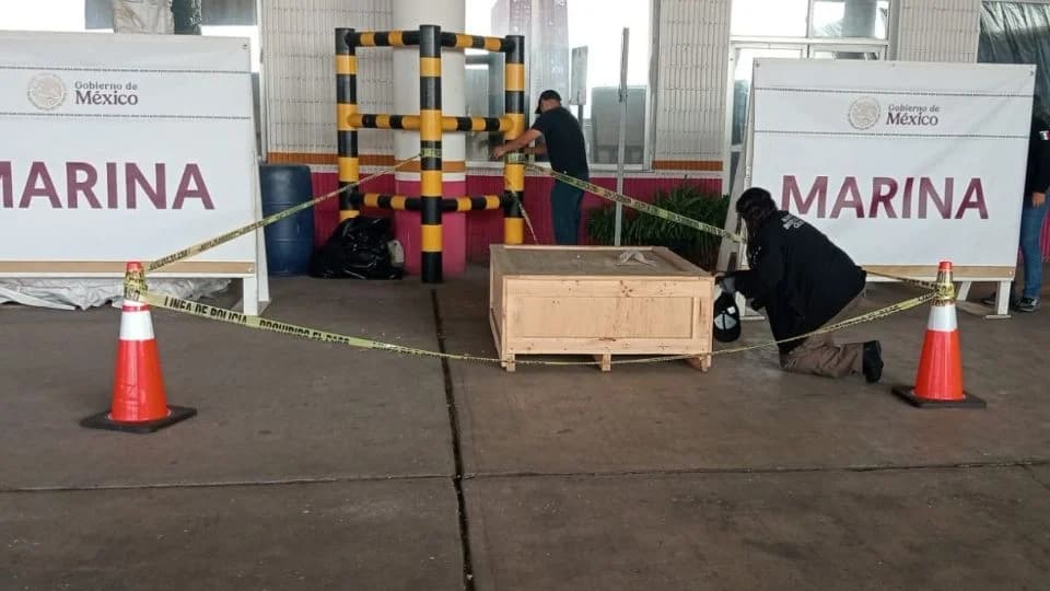 Decomisan en puerto de Veracruz droga alucinógena