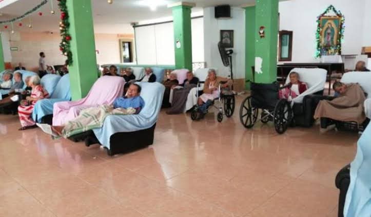 Con problemas de sobrepoblación Casa del Árbol: DIF