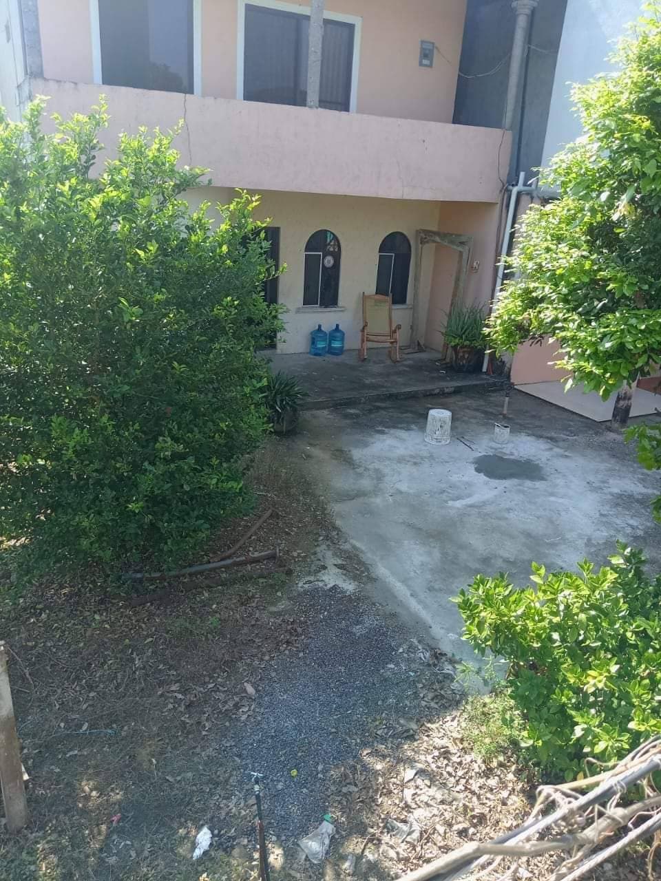 Ola imparable de ejecuciones...reportan 4 en un solo día