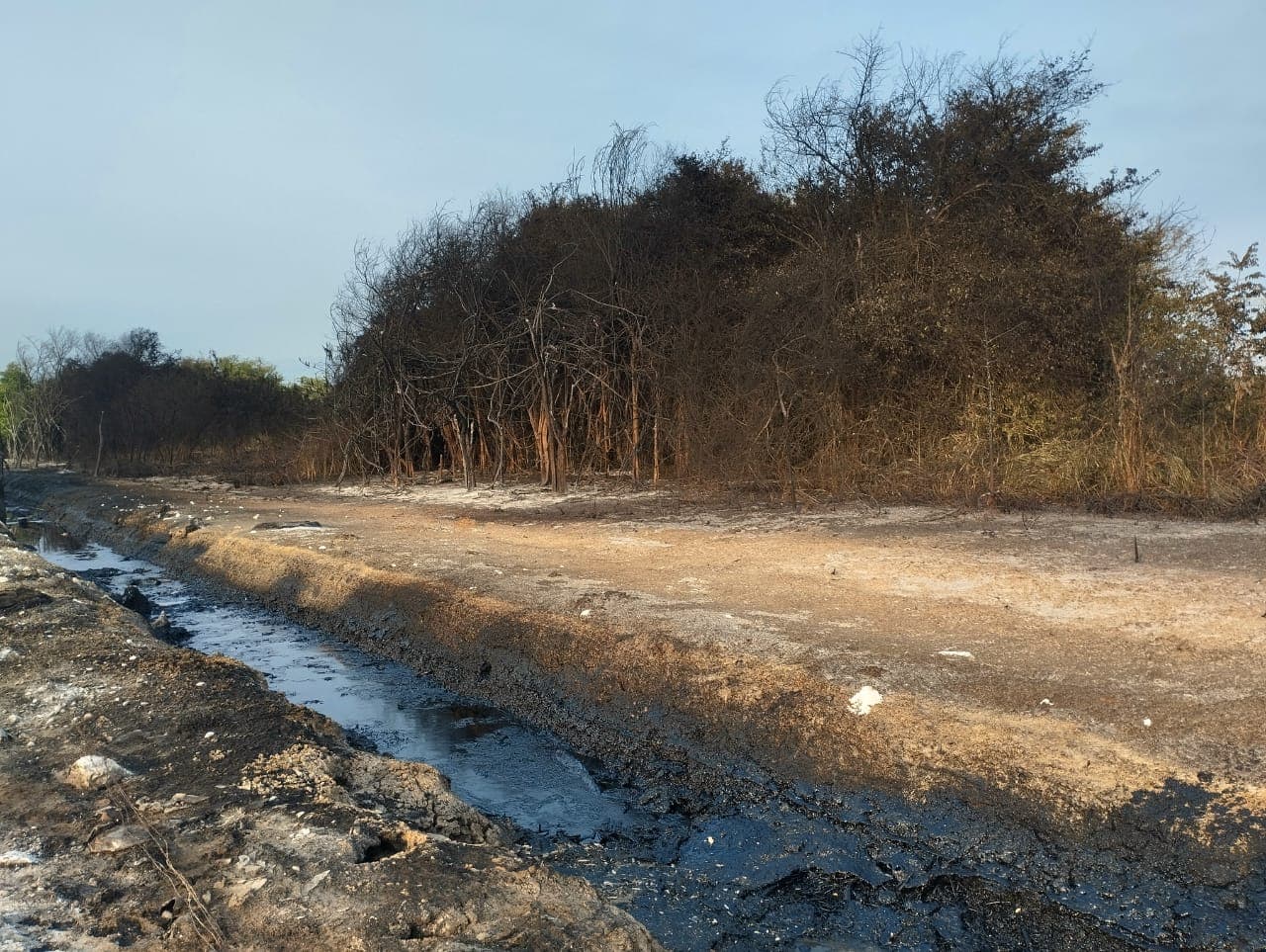 Devasta incendio 12 hectáreas en Ra. Lázaro Cárdenas