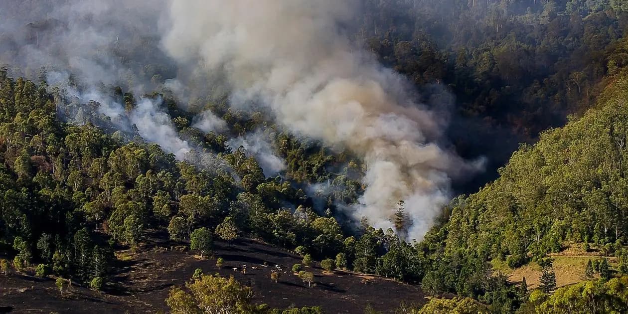 Atiende Veracruz tres incendios forestales activos