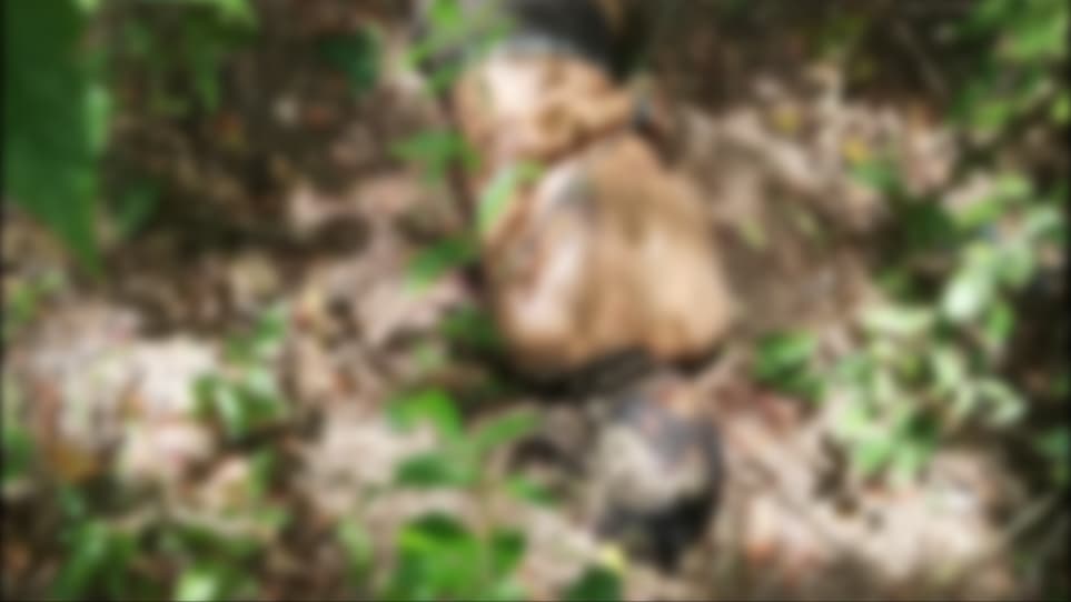 Encuentran hombre sin vida en Cunduacán