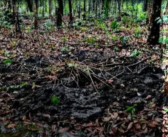 Hallan fosa clandestina por segundo día consecutivo ahora en Huimanguillo