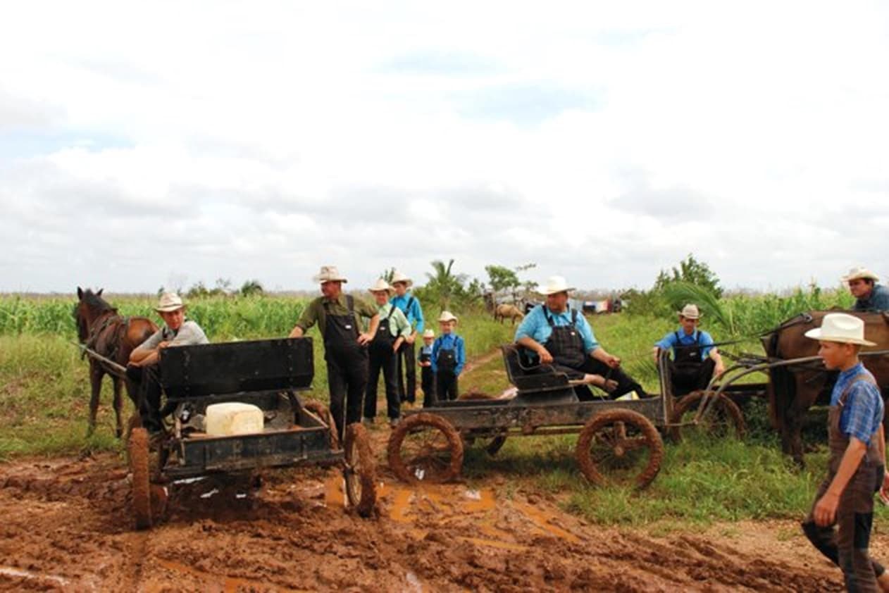 Acusan despojo de 2200 hectáreas a favor de Menonitas Campechanos