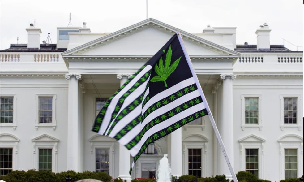 Biden otorga indulto a condenados por mariguana