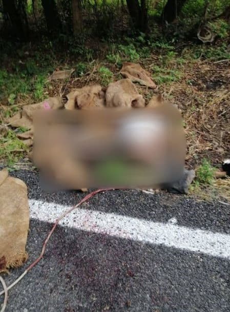 Hallan cinco ejecutados en carretera de Villa Corzo