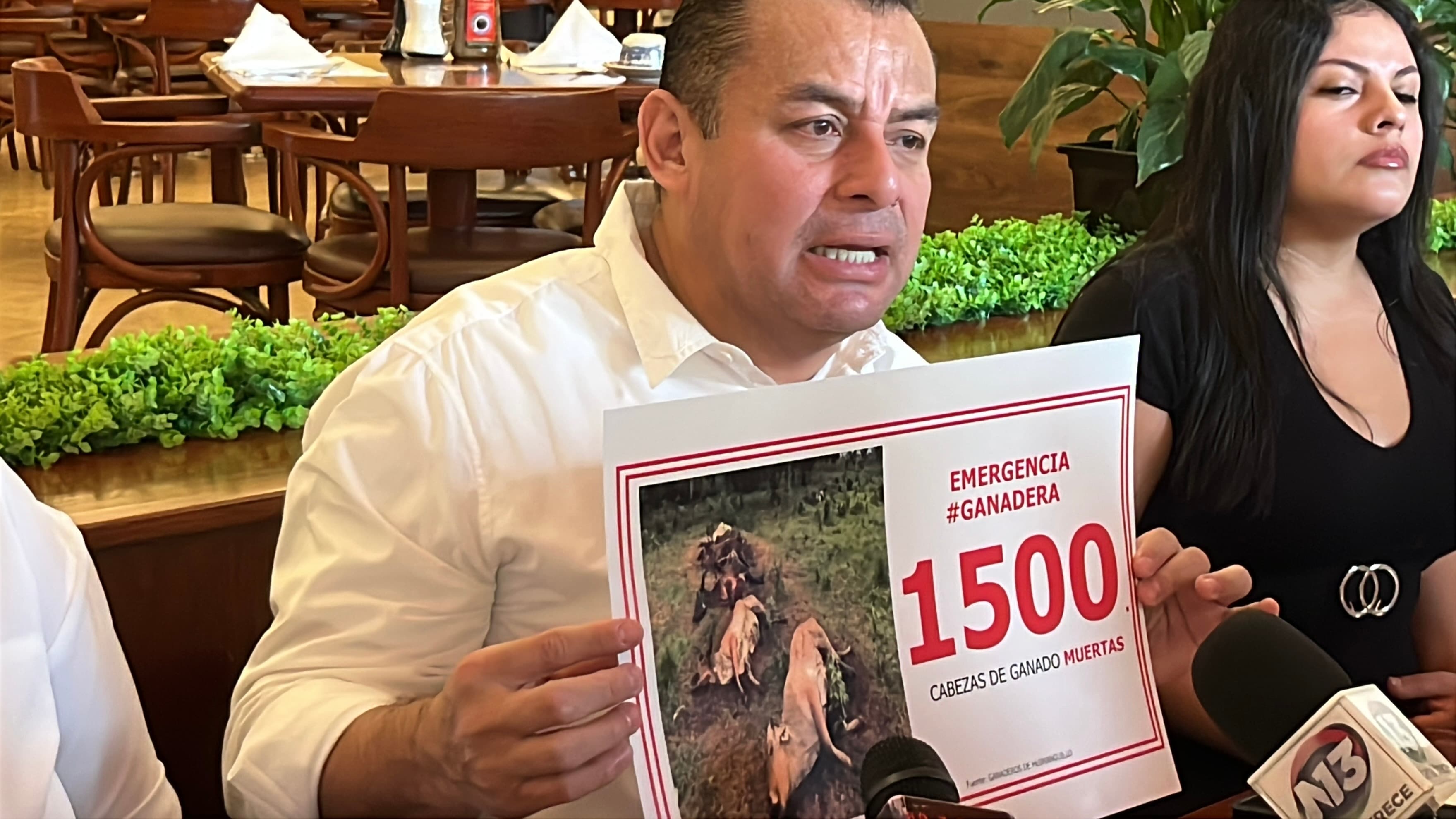 Exigen plan emergente para resarcir daño por muerte de reses