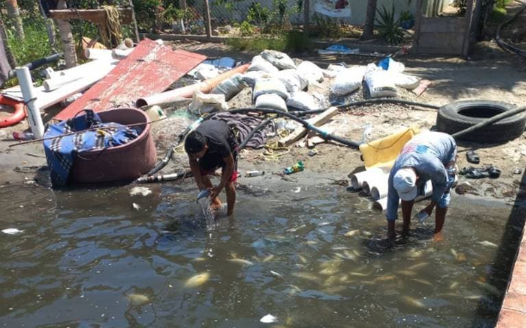 Descarta Merino que Refinería provoque mortandad de peces
