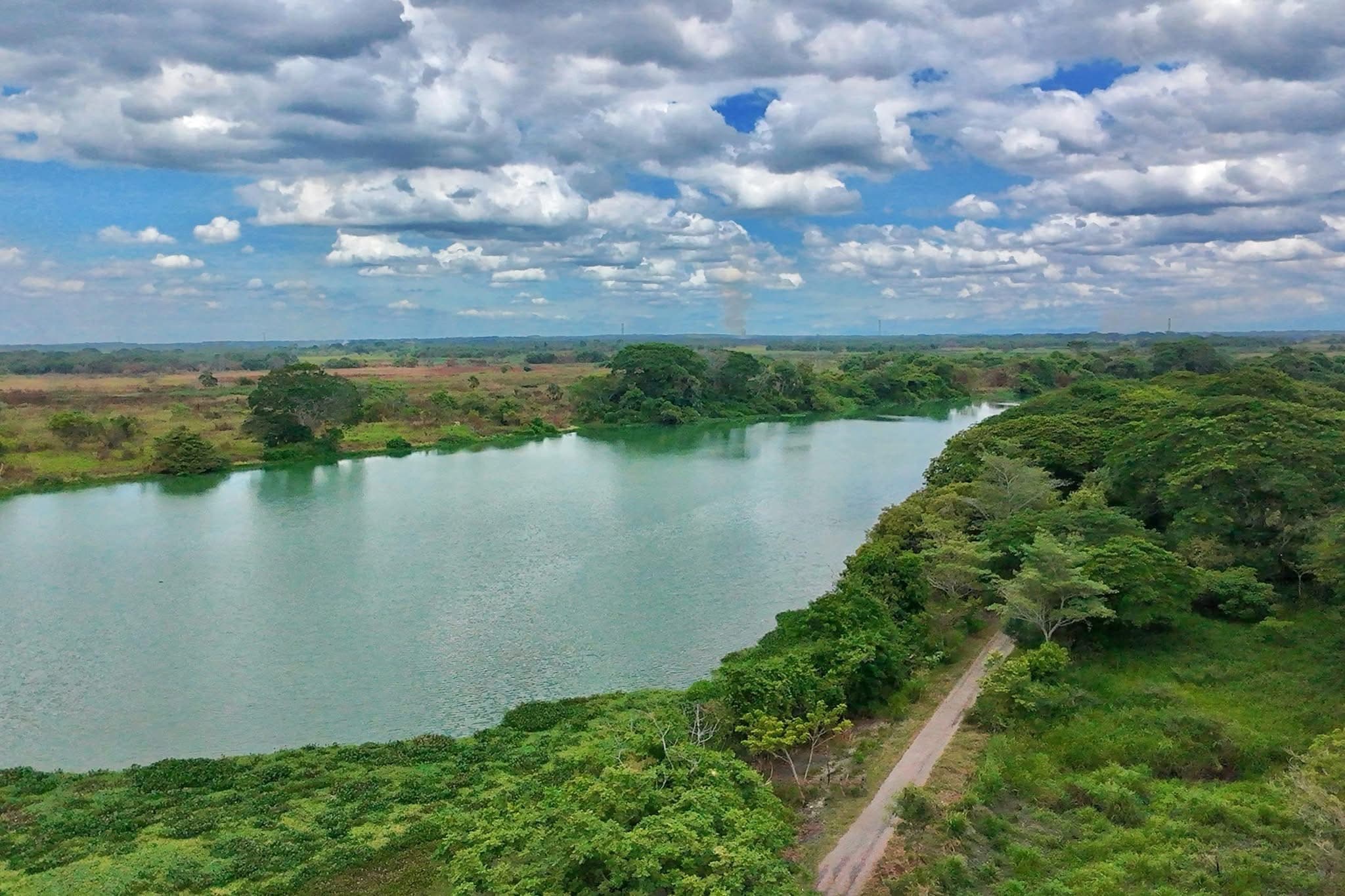 Tras SOS de 'Yaxché', Gobierno se une a limpieza de Laguna del Camarón