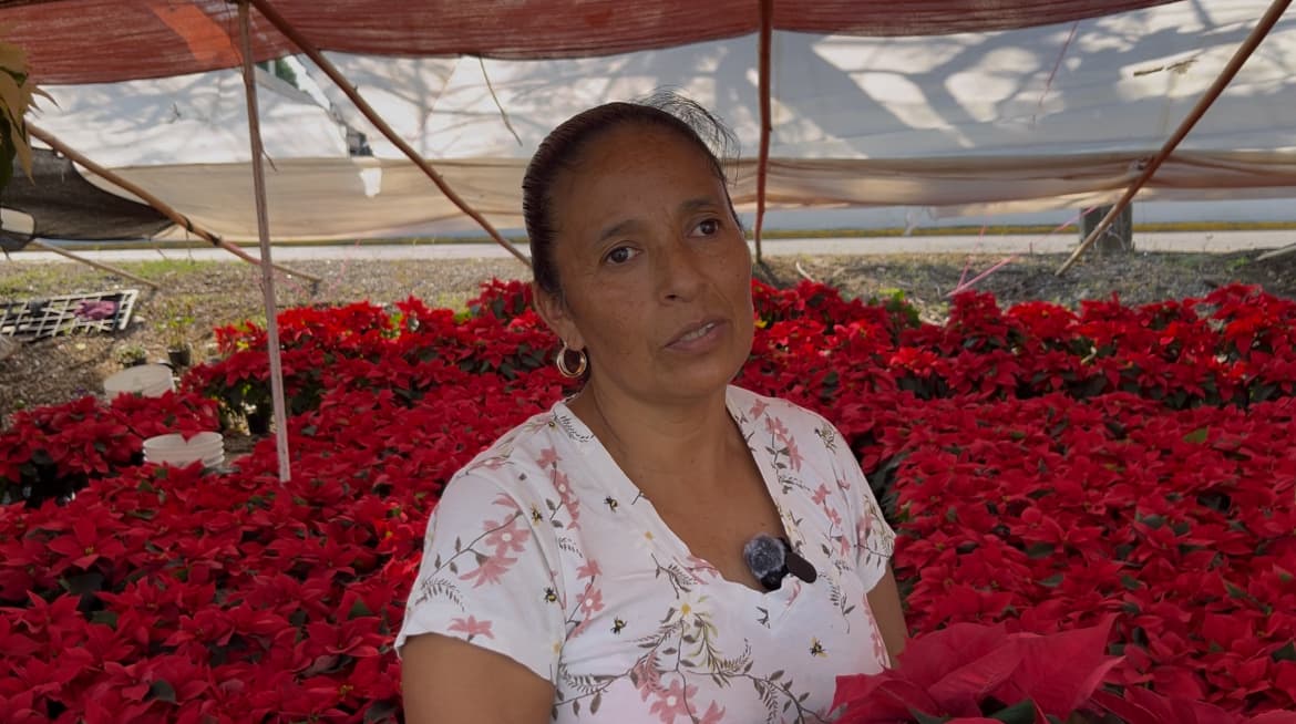 Violencia espanta a compradores de nochebuenas