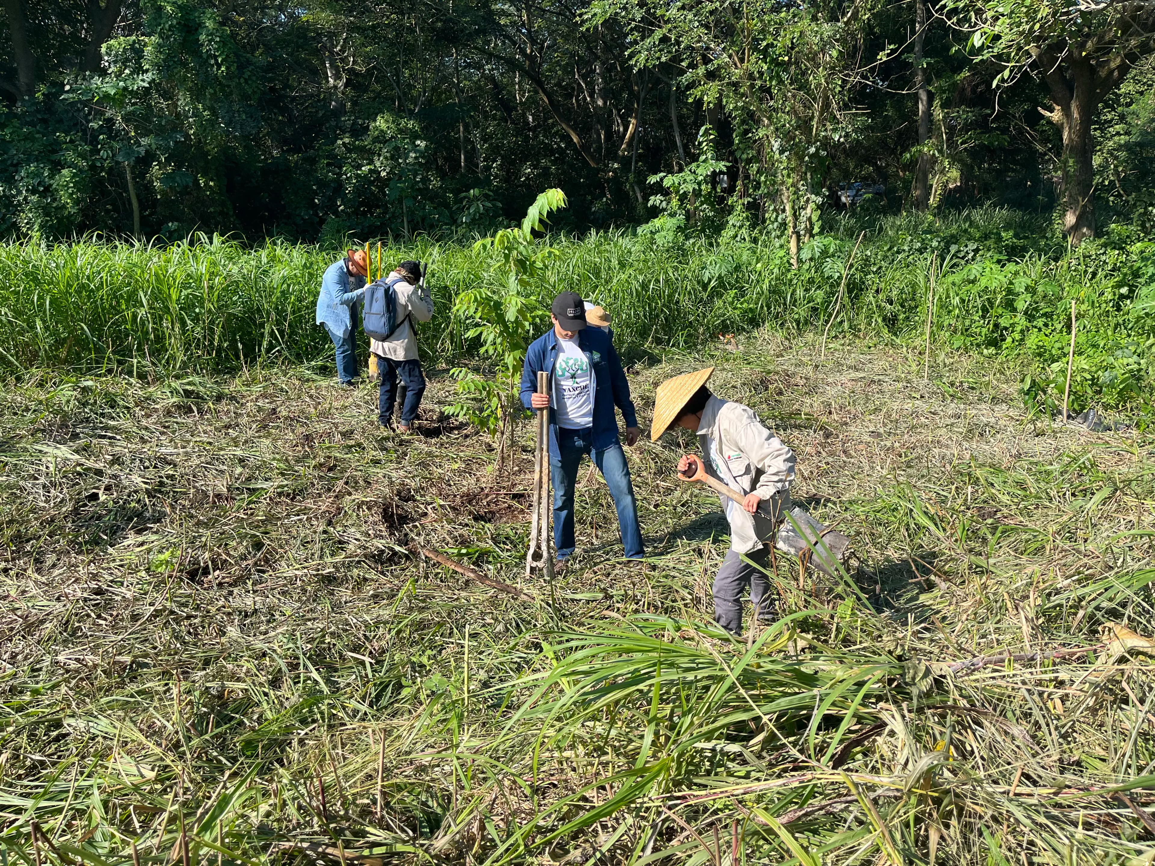 Realizan primera jornada de reforestación en el Camarón de 2026