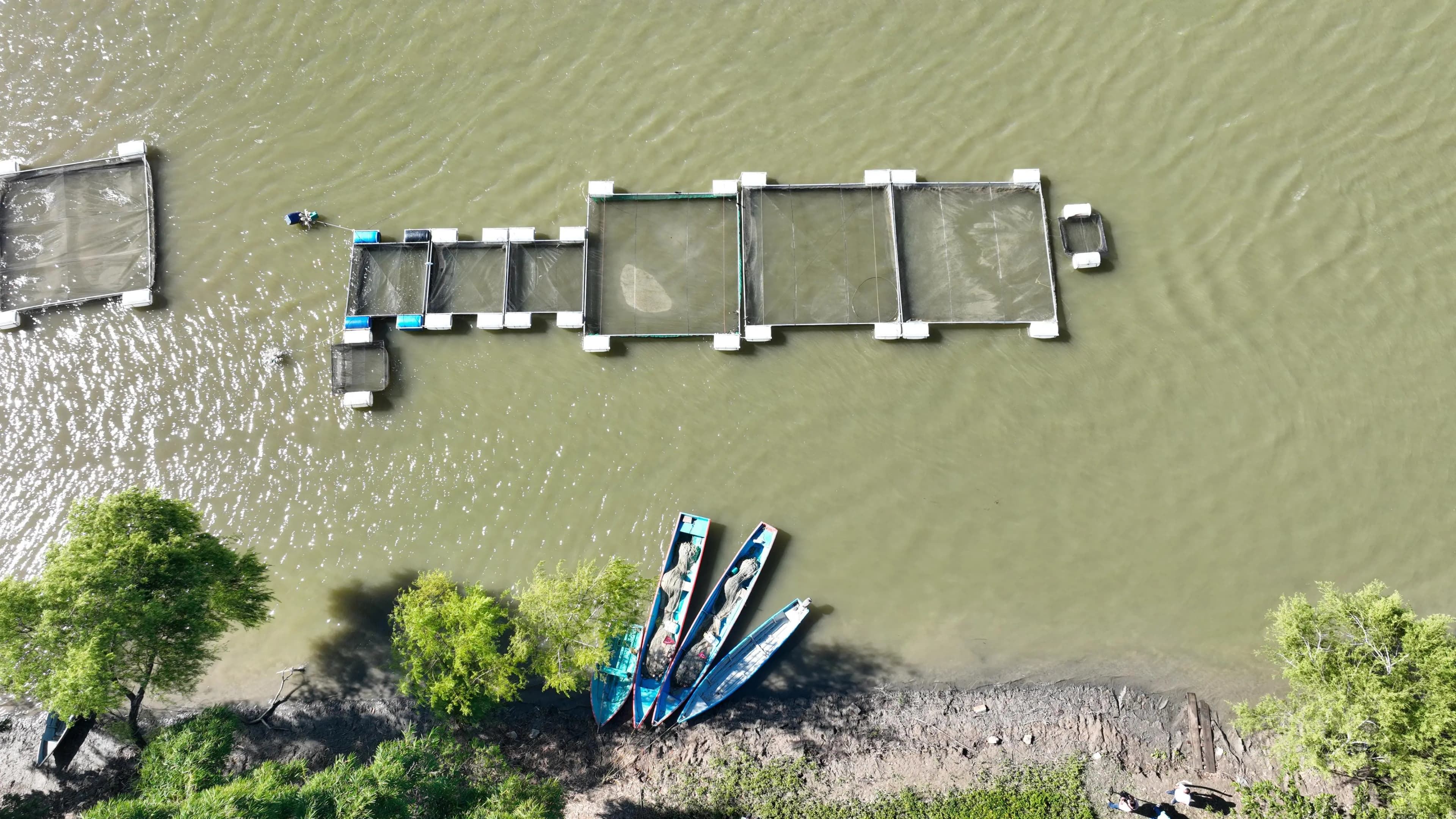 Presumen 32 millones de pesos en ingresos por Pescando Vida