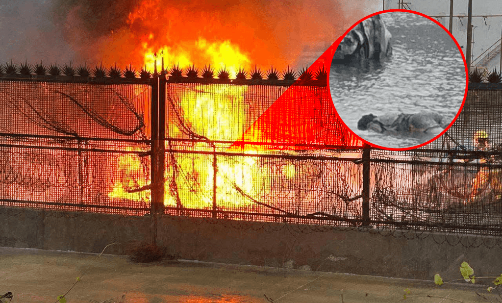 Familiares denuncian negligencia de SIPPSA tras explosión en Dos Bocas