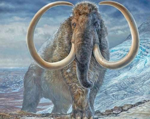 Animales evolucionaron para sobrevivir a era del hielo