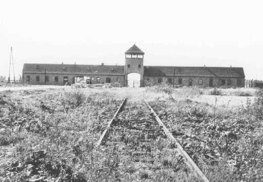 Lanzan web para rastrear víctimas del Holocausto