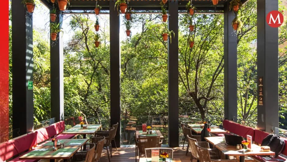 Librería El Péndulo de San Ángel, una de las 13 más bellas del mundo