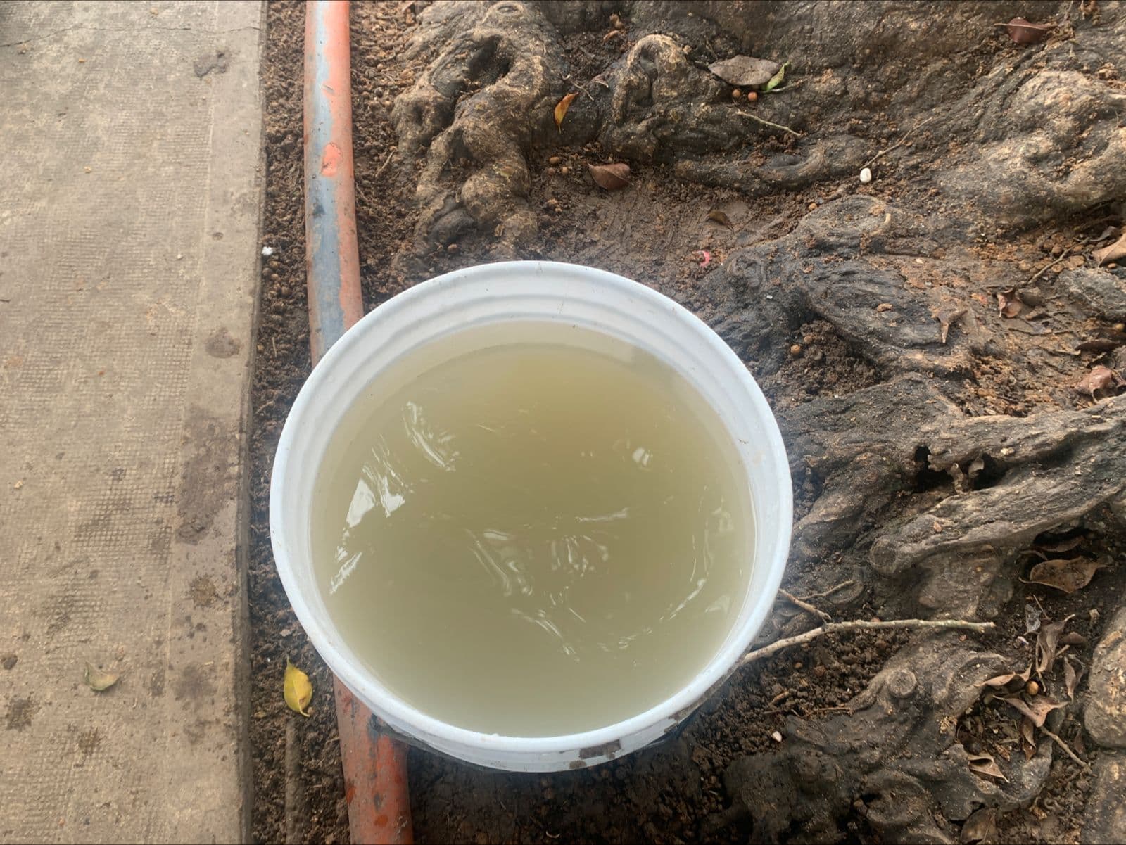 En Indeco carecen de agua y cuando llega, sale amarilla